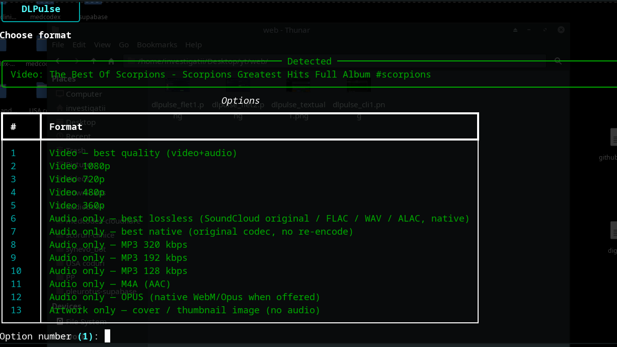 DLPulse CLI - detailed output